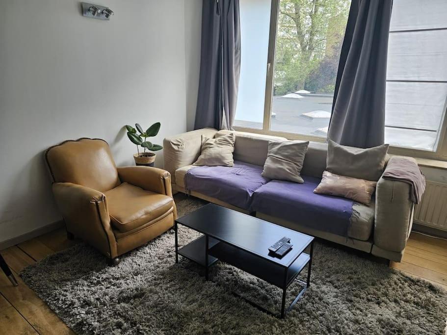 cosy studio 1
