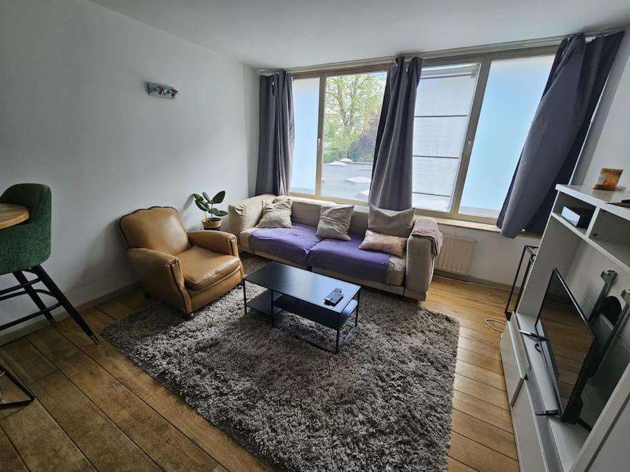 cosy studio 1