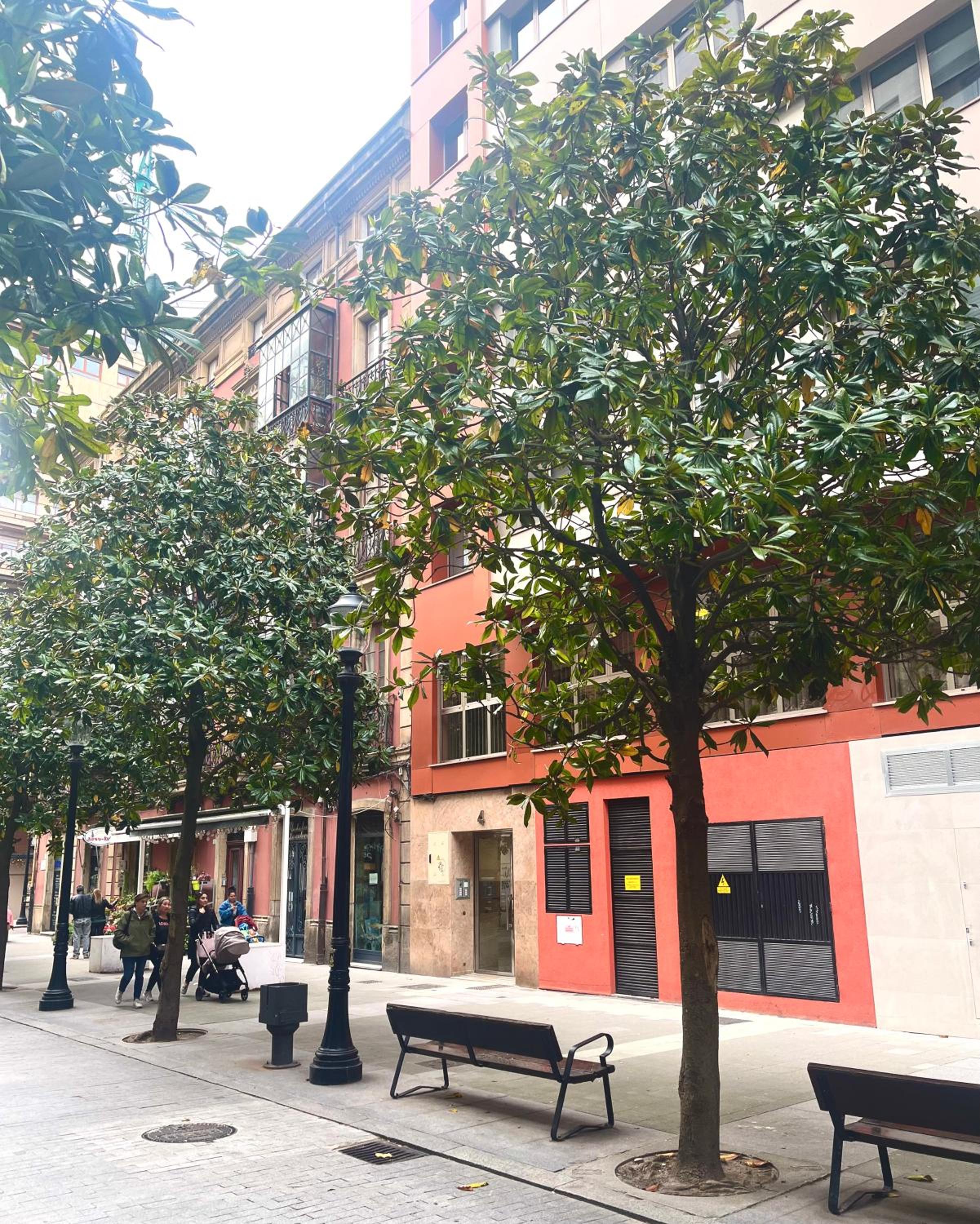 EL ENCANTO DEL CENTRO