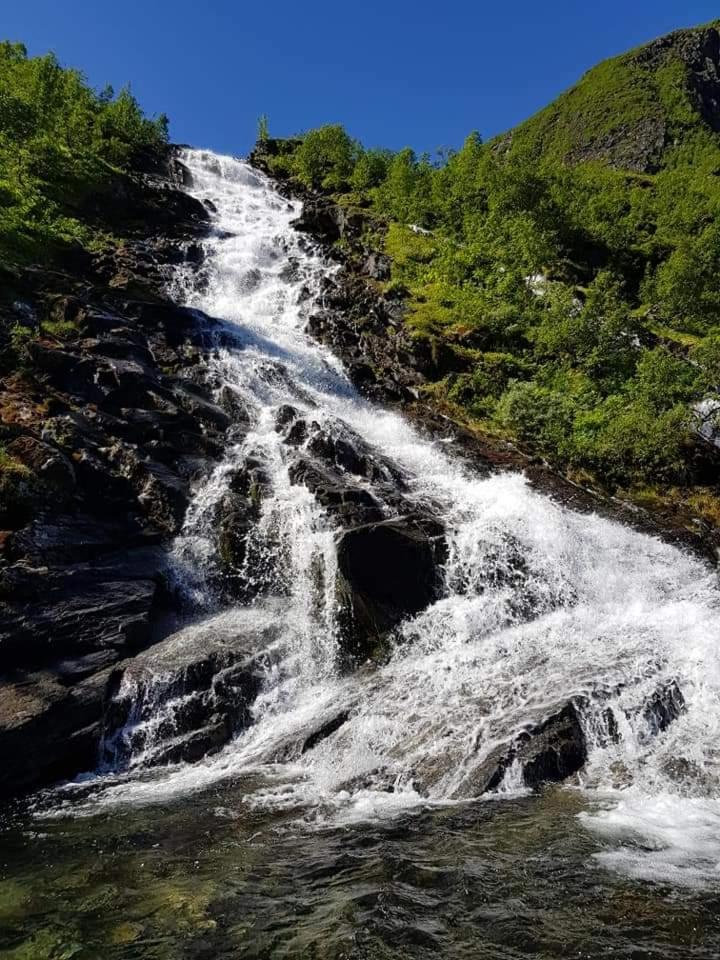 Hytta på Kvia, Rognestøyldalen - Sæbø