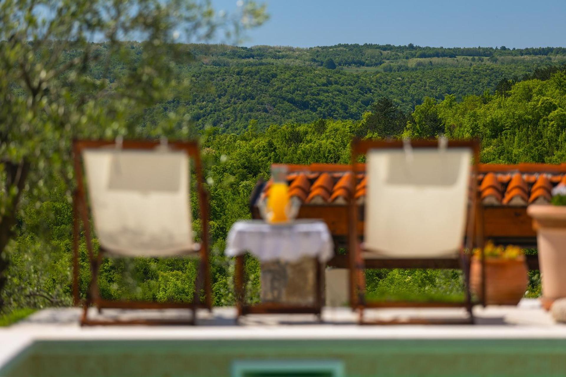 Beautiful Villa Cartolina with pool in Buje view 3