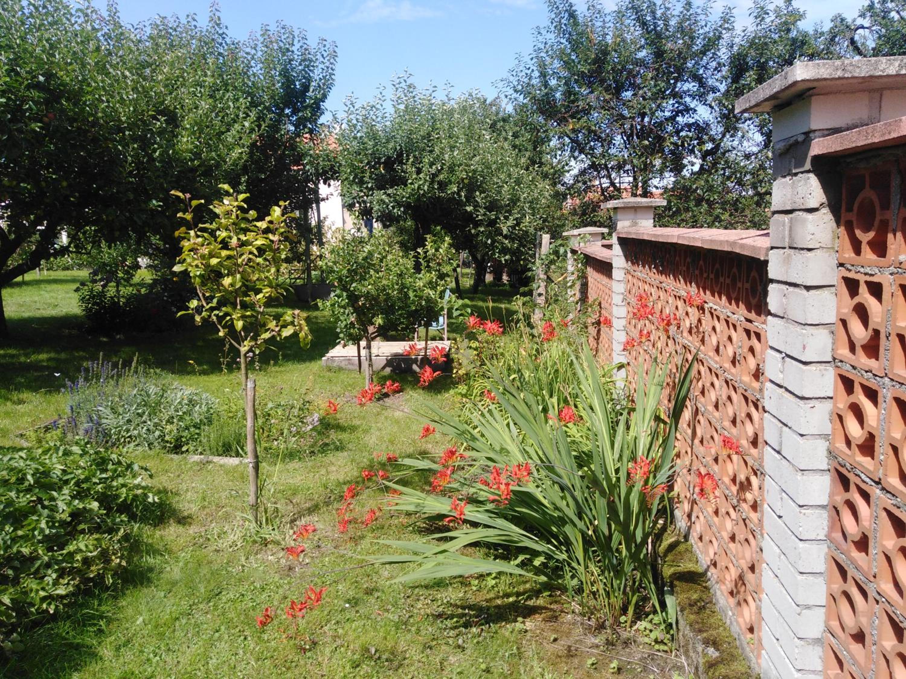 Pacov 501 view 4