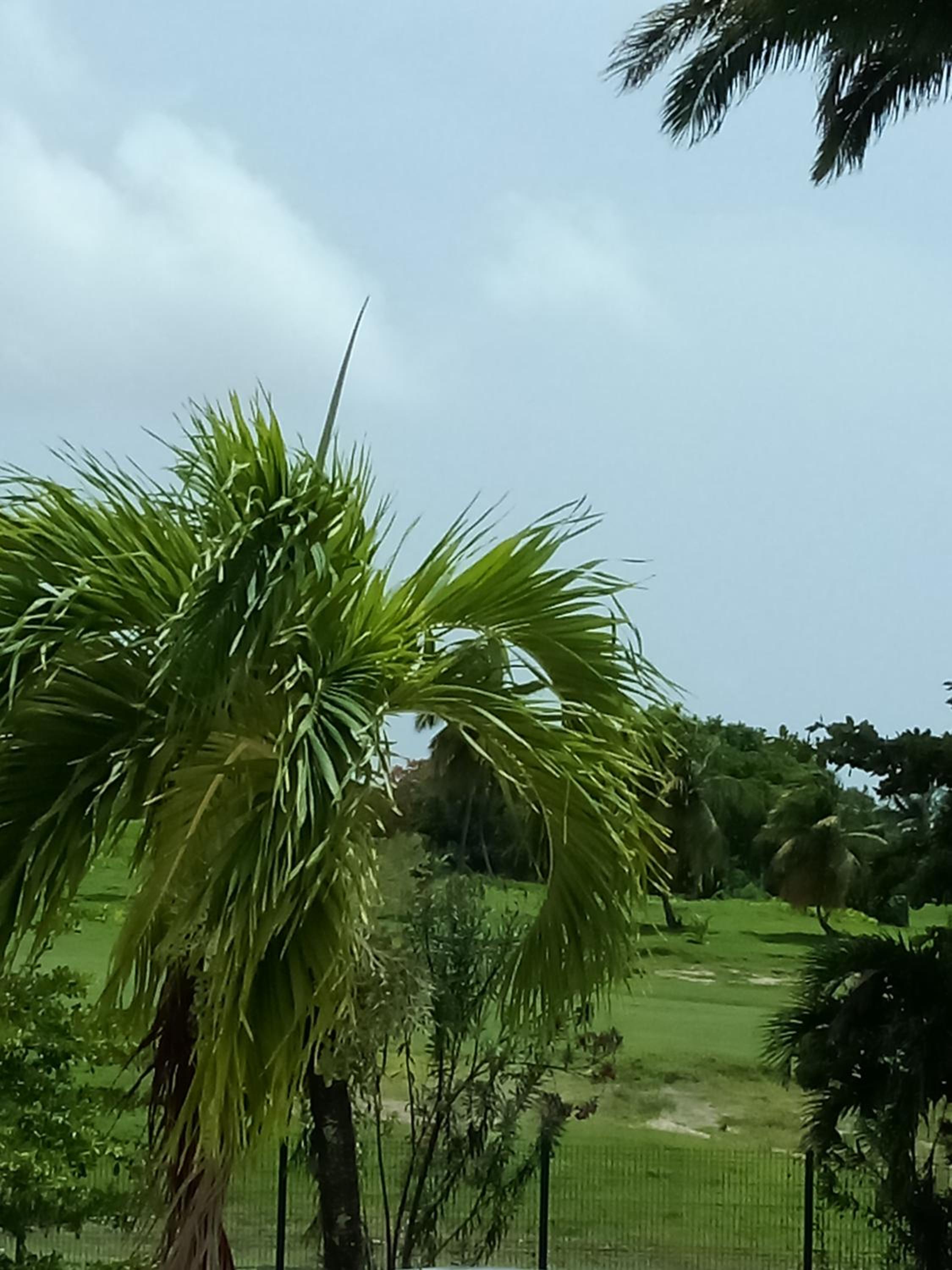 Marines3 Vue Golf