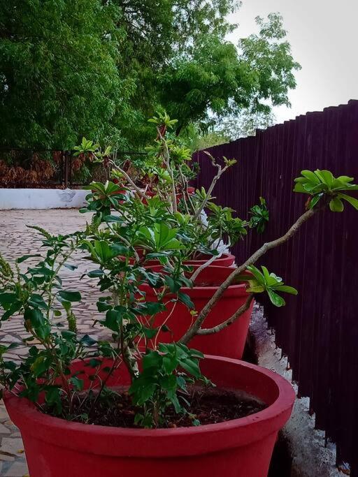 Mamta's Home- Kensville view 4