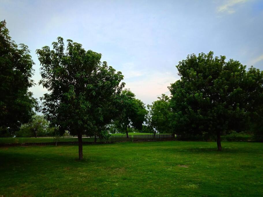 Photo 27