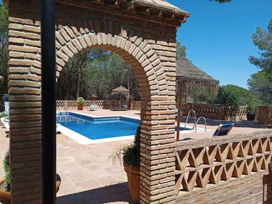 Marbella Vacations - Vacaciones en Nueva Andalucia-Marbella - Property Image 27