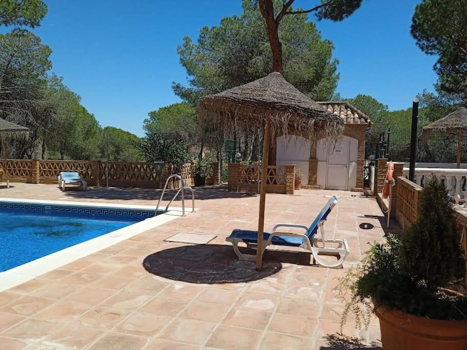 Marbella Vacations - Vacaciones en Nueva Andalucia-Marbella - Property Image 19
