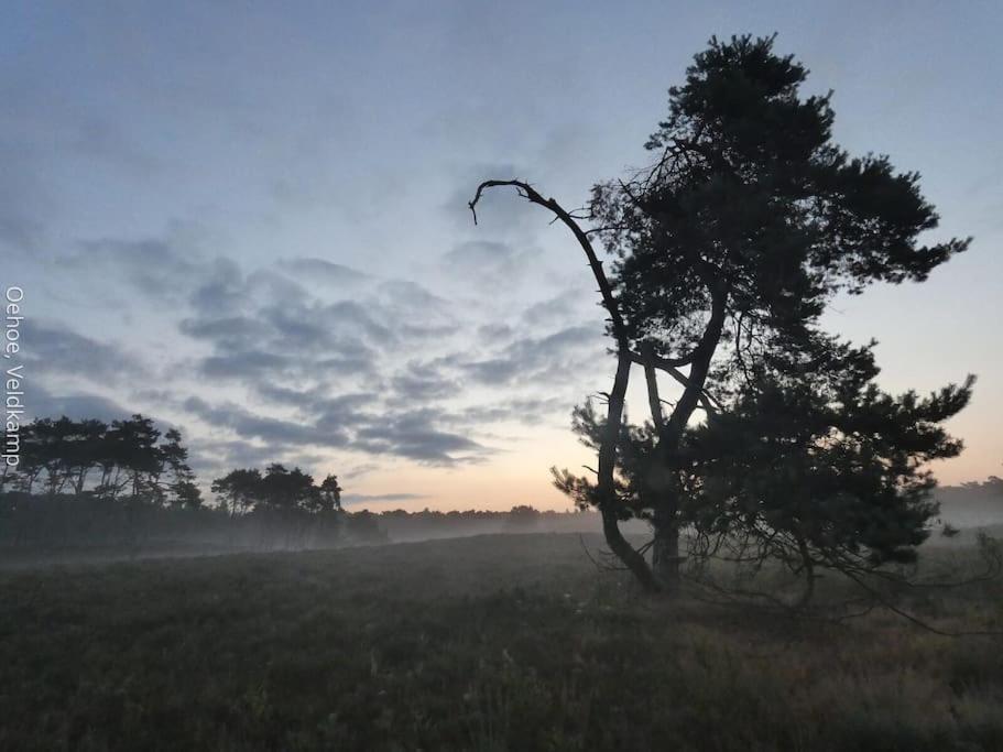 Rust en Natuur in Ons Vrijstaande Fins Chalet