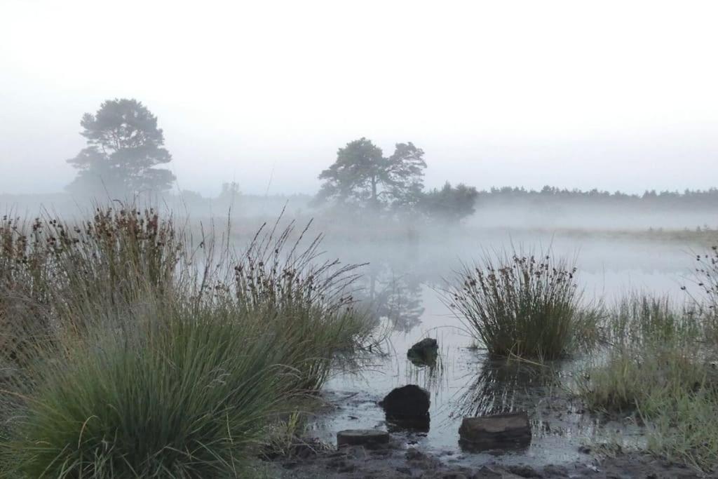 Rust en Natuur in Ons Vrijstaande Fins Chalet