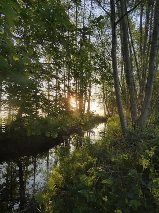 Rust en Natuur in Ons Vrijstaande Fins Chalet