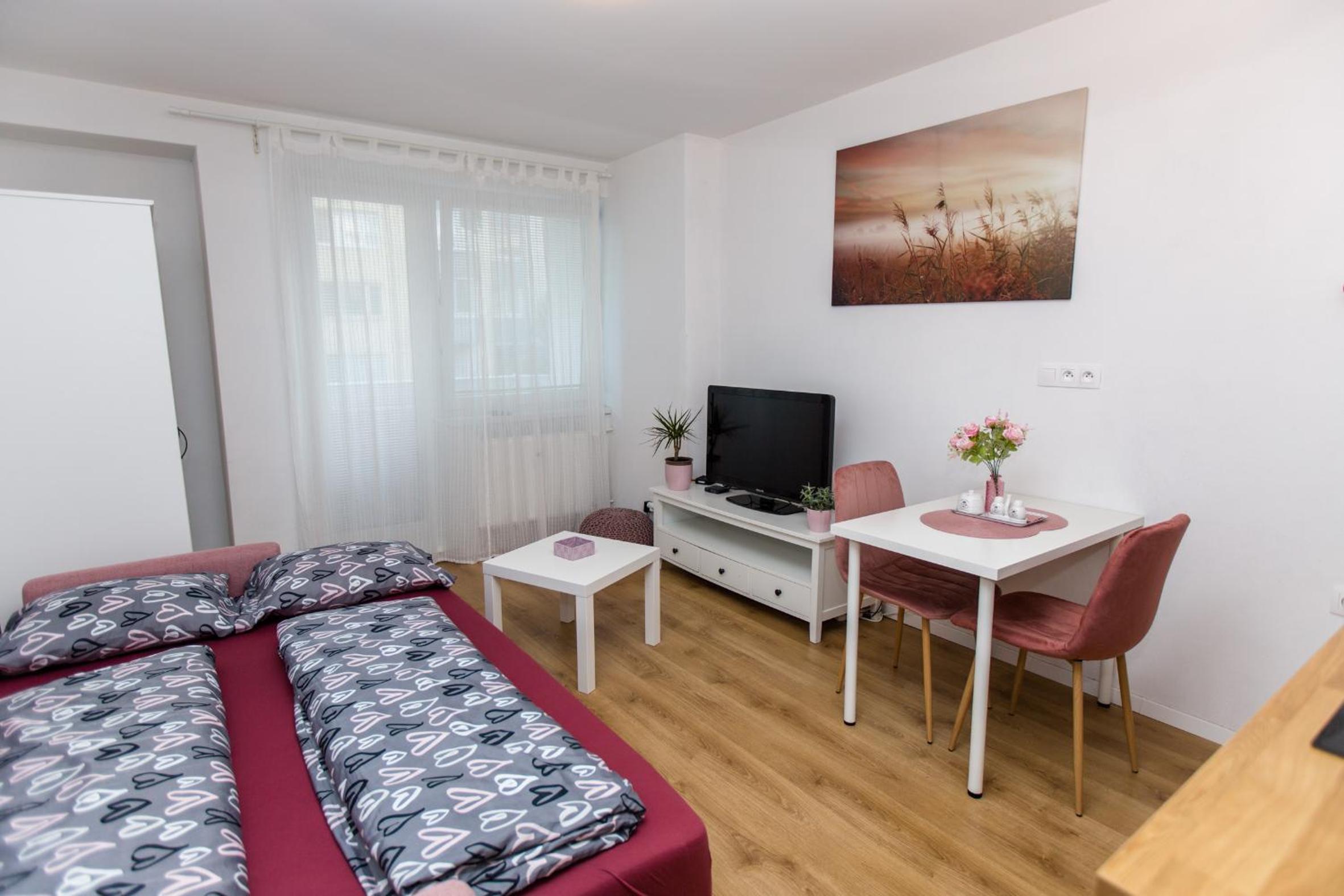 Apartment near the Ondrej Nepela winter stadium view 5
