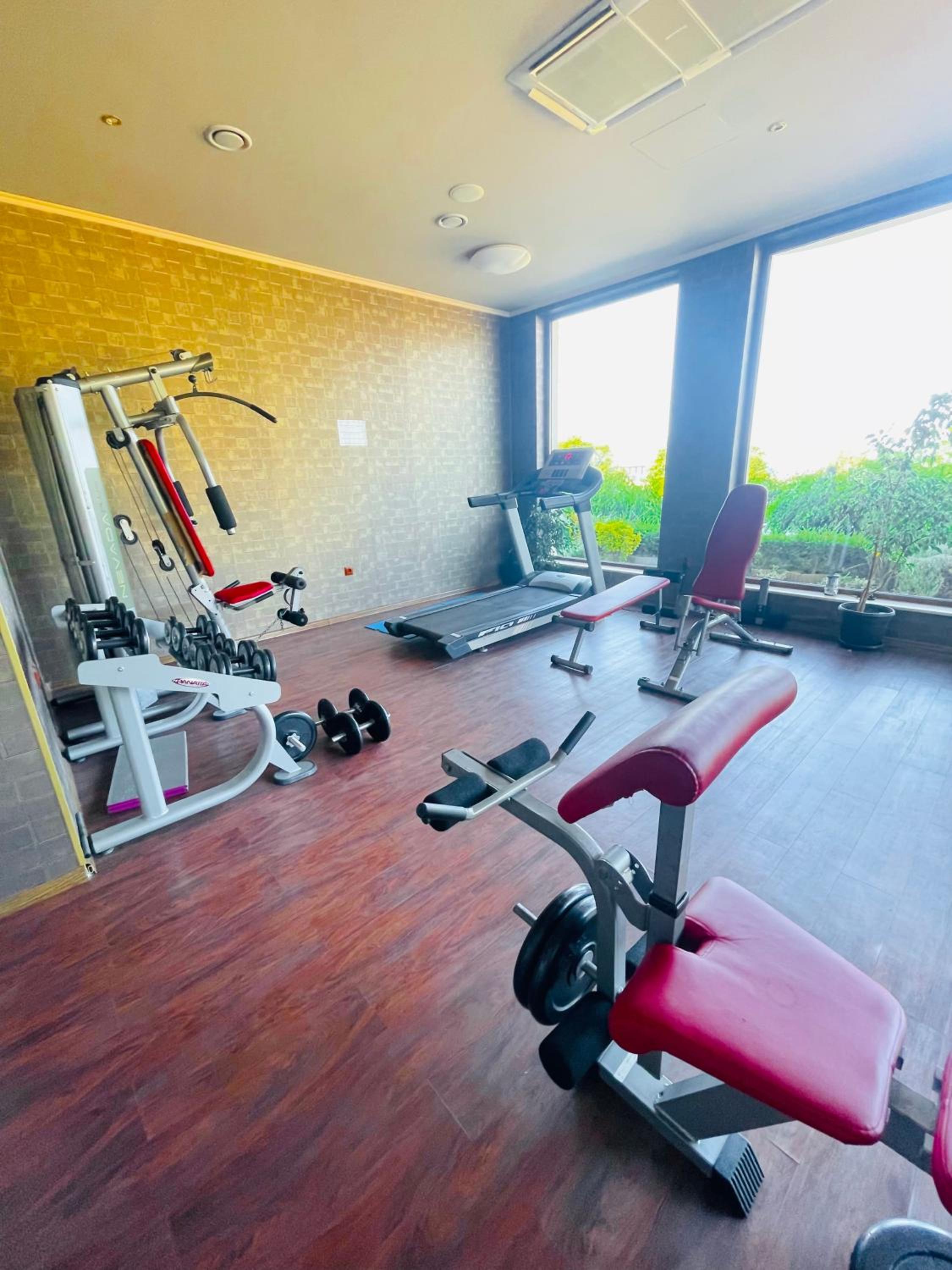 Long Sunny Holiday