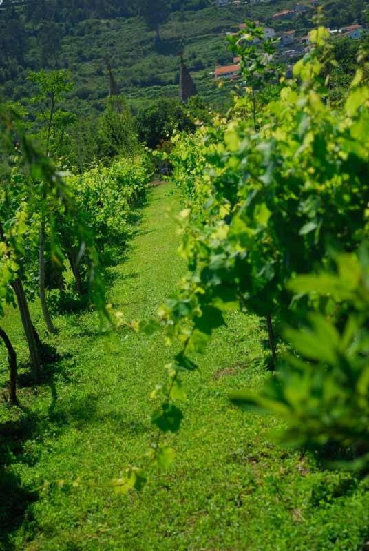 Quinta do Mosteiro
