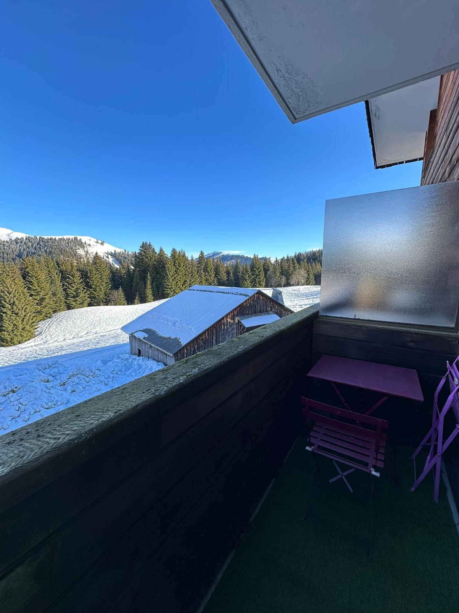Studio au cœur du Praz-de-Lys - Les Pralyssimes