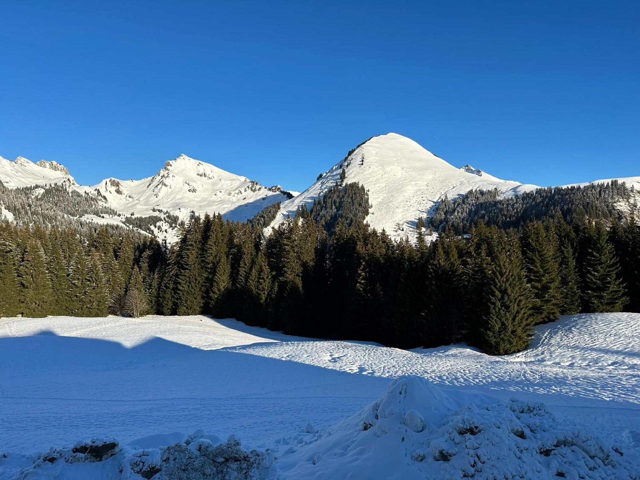 Studio au cœur du Praz-de-Lys - Les Pralyssimes