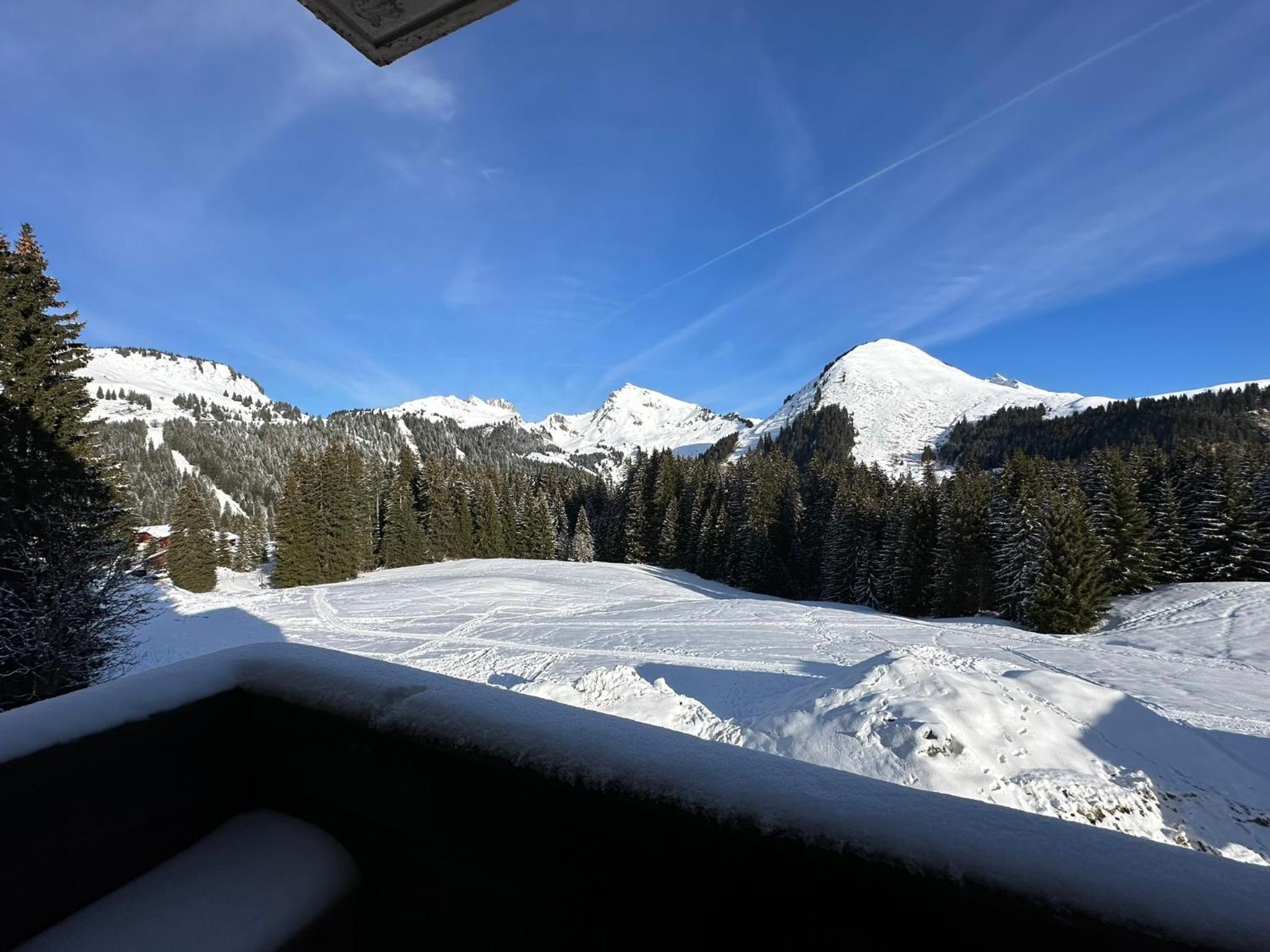 Studio au cœur du Praz-de-Lys - Les Pralyssimes