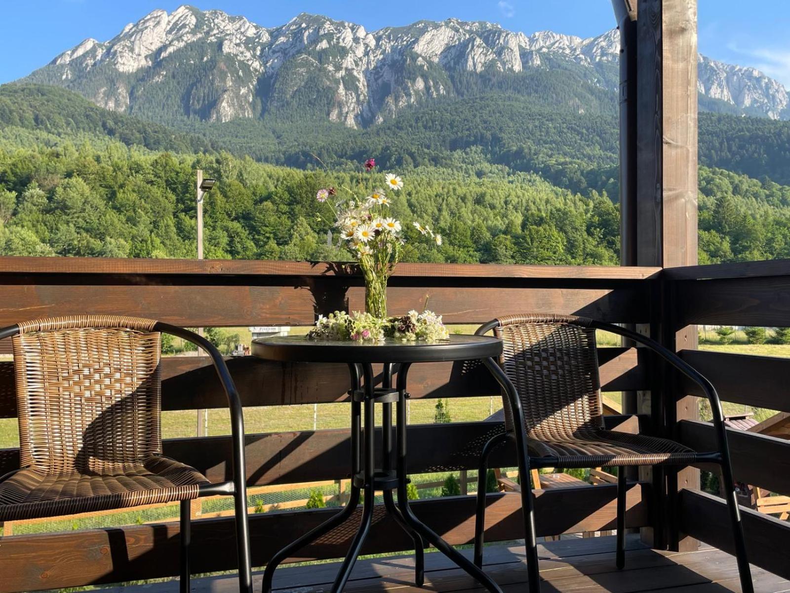 Apartamente Creasta Craiului view 5