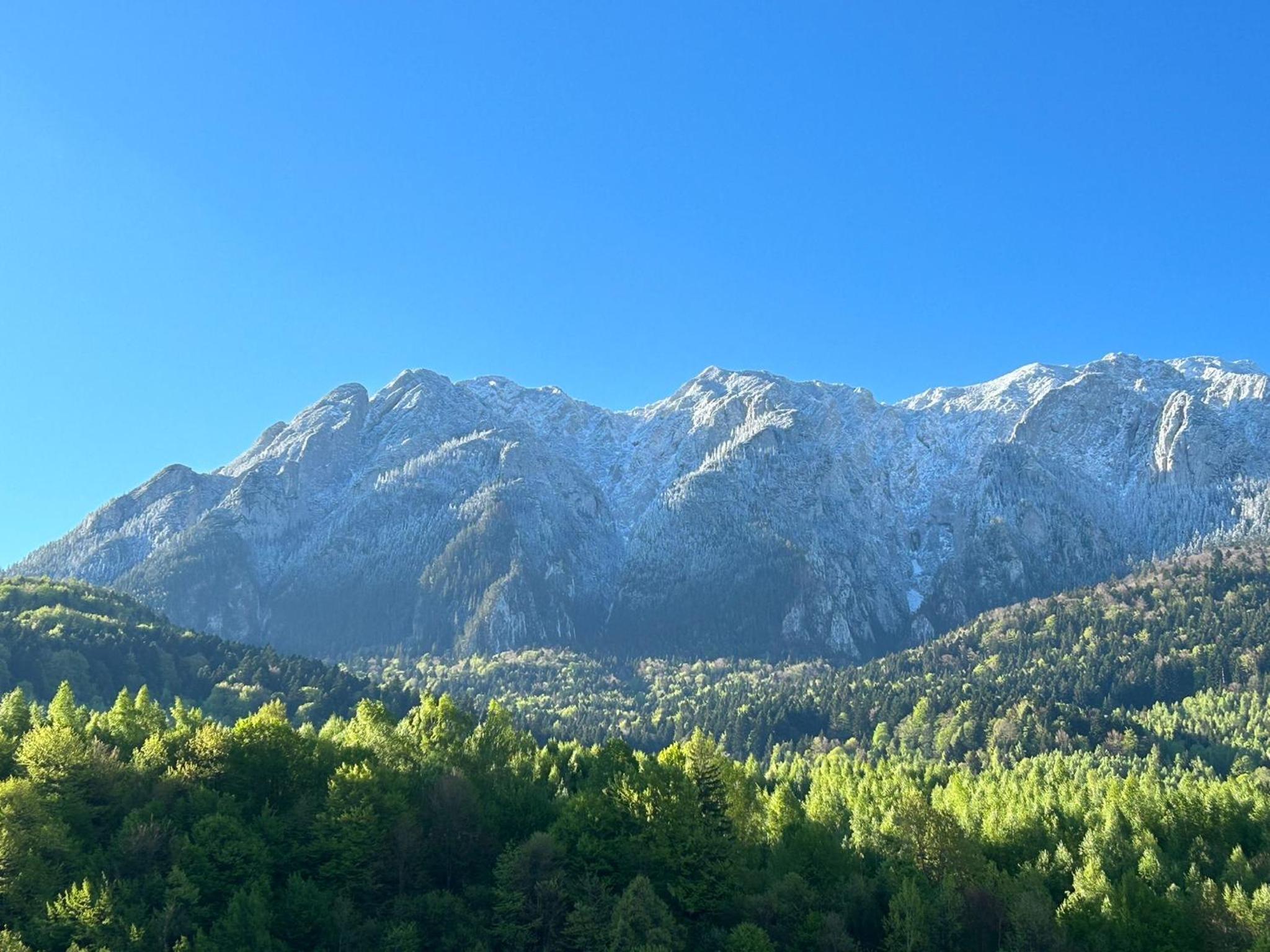 Apartamente Creasta Craiului view 4