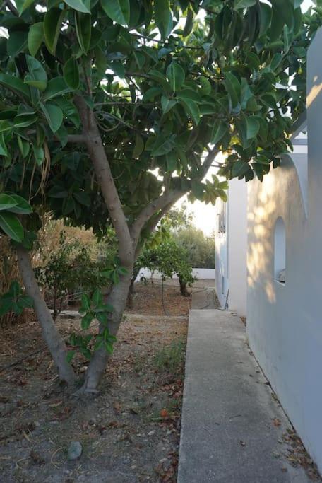Photo 31