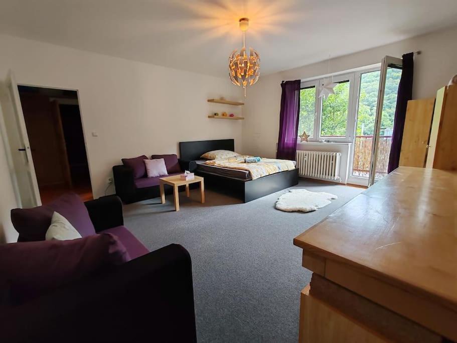 Apartment STAR Brno with terrace 4b