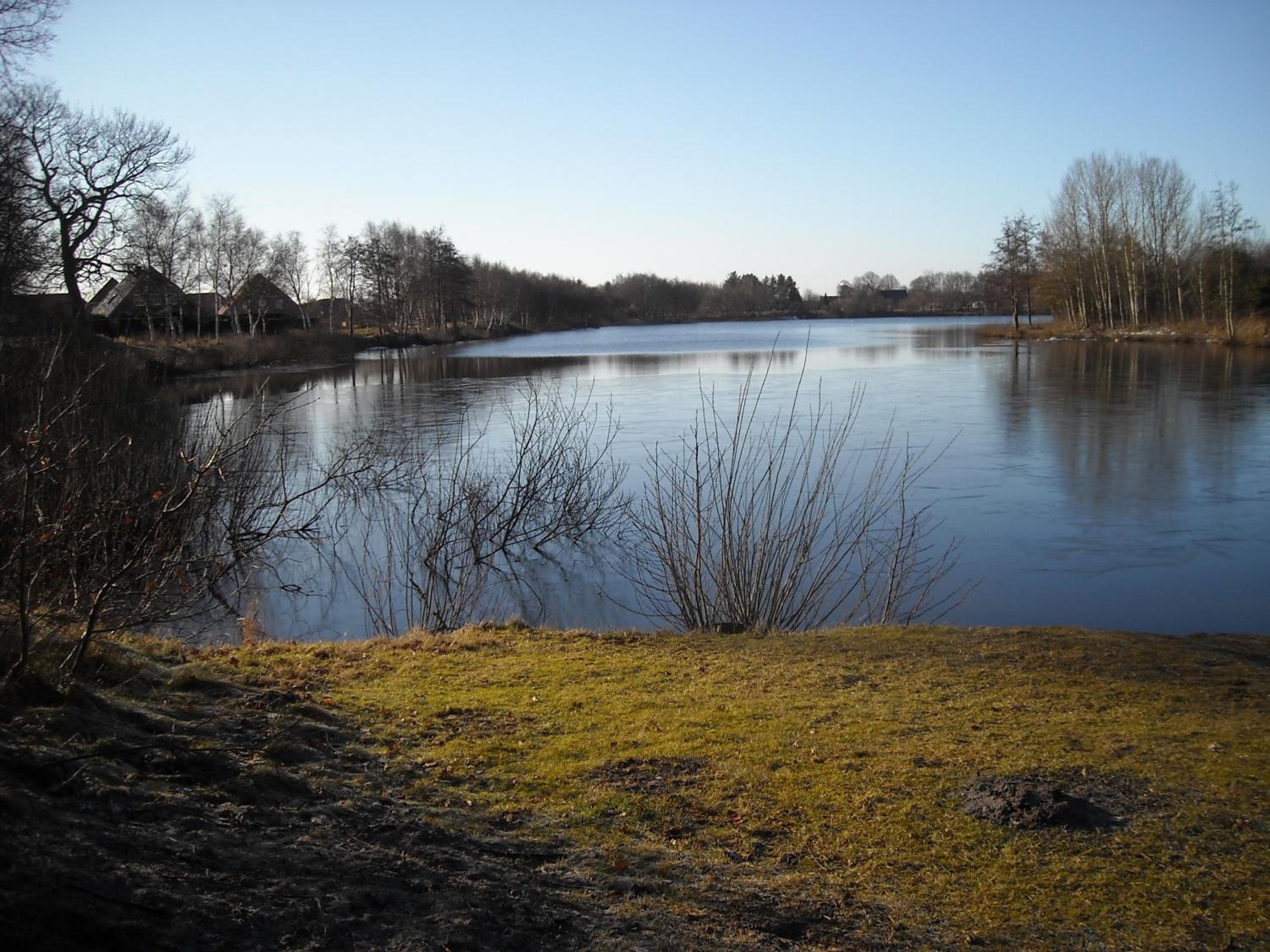 Sahneschnittchen