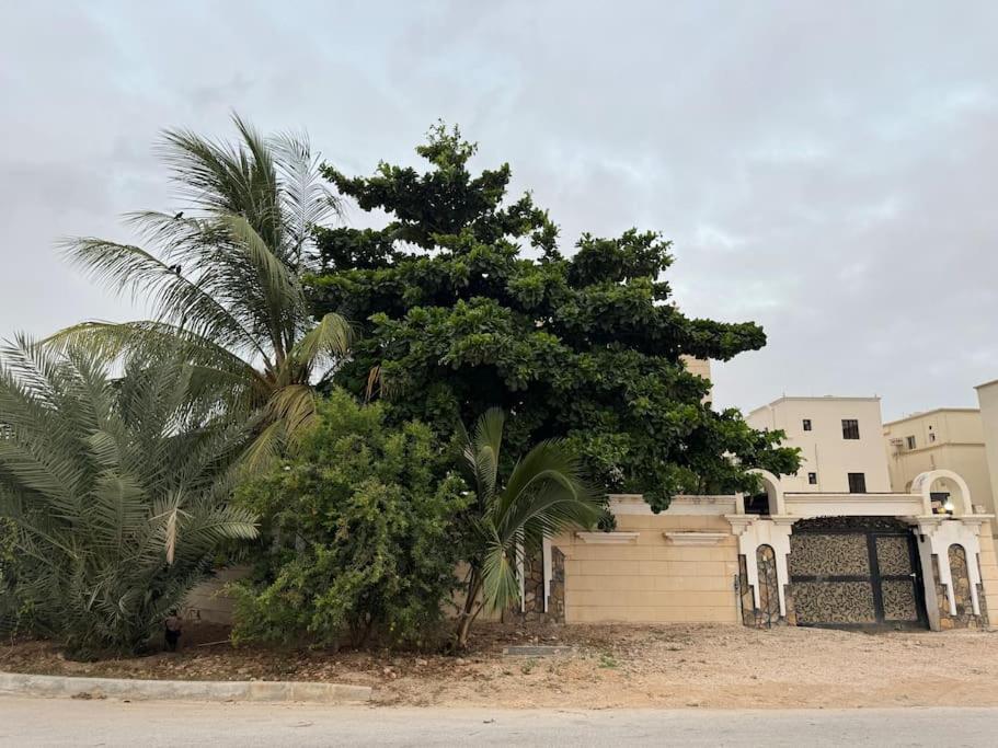 AlAryam AlSaadah House view 5