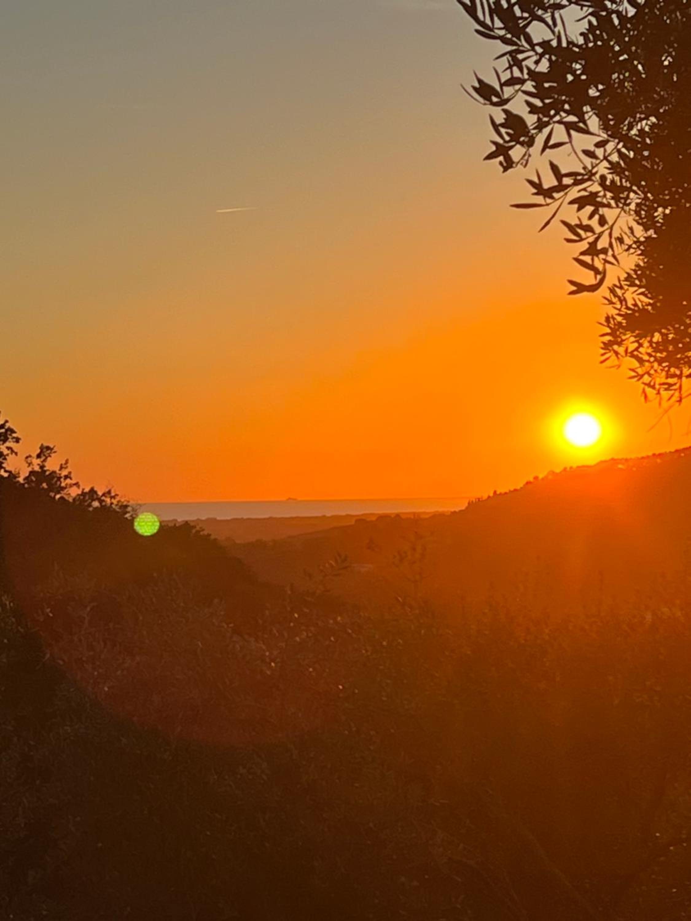 Podere Il Piantoneto