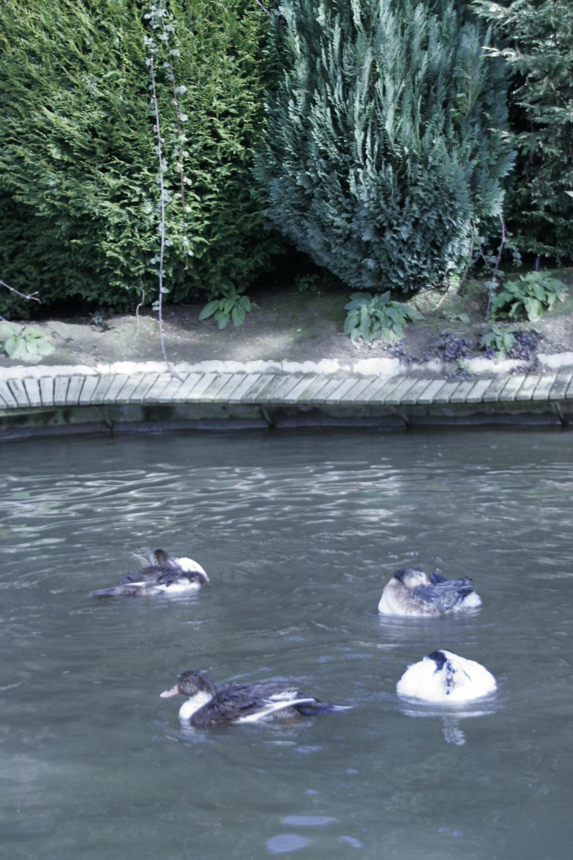 Photo 40