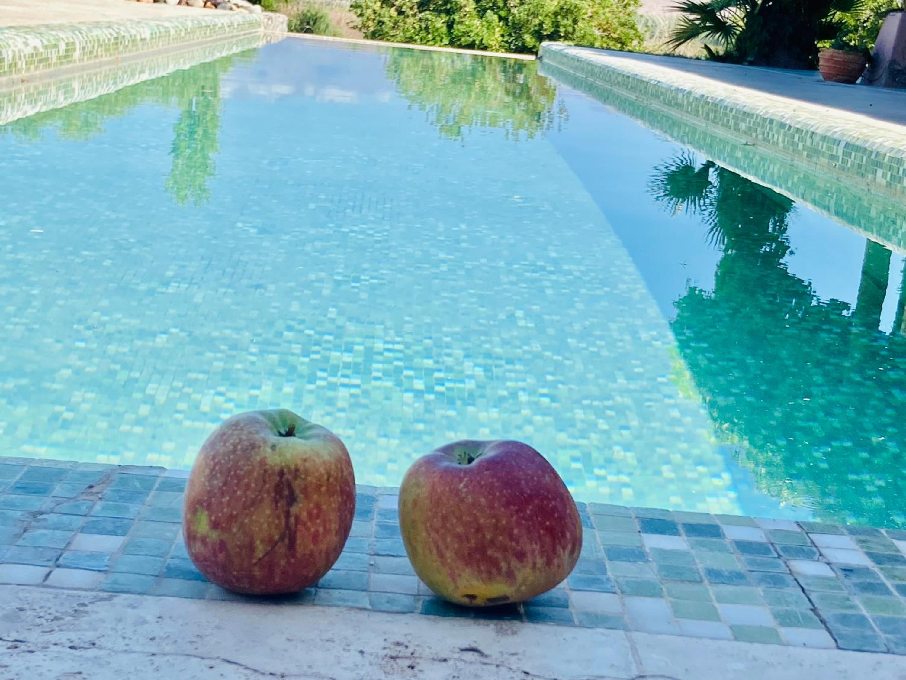 FINCA TIERRA CALMA Casa 1