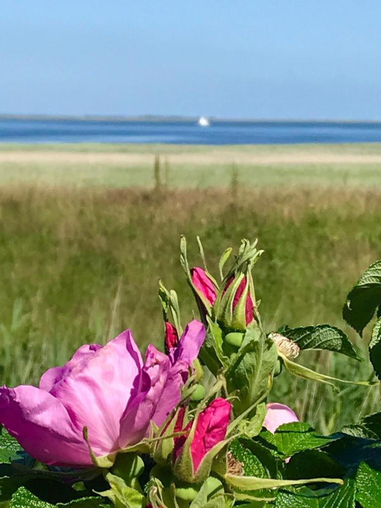 Söl'ring Hüs MeerBlick , App 6 en Rantum
