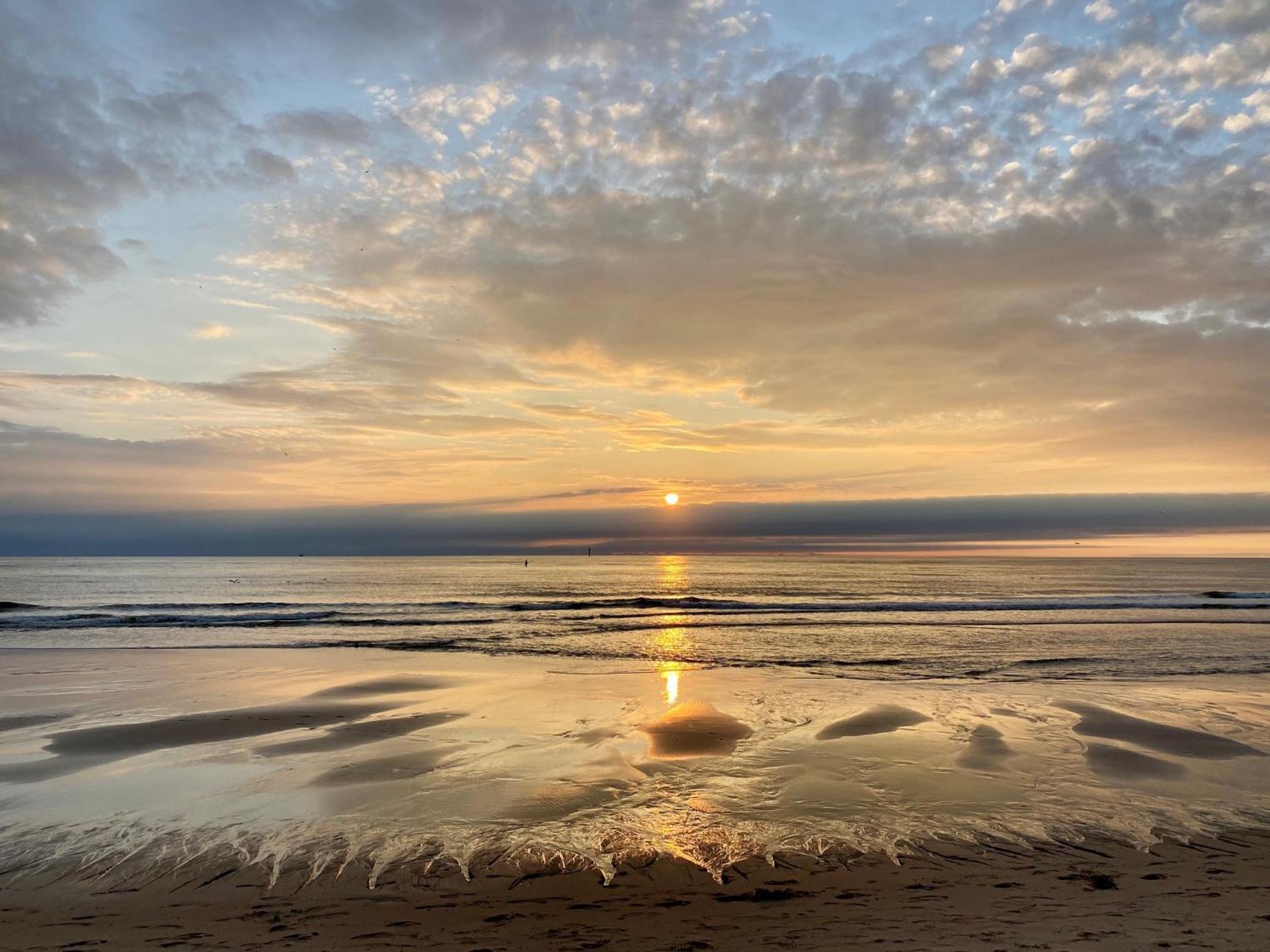 Wattblick App 6 en Rantum