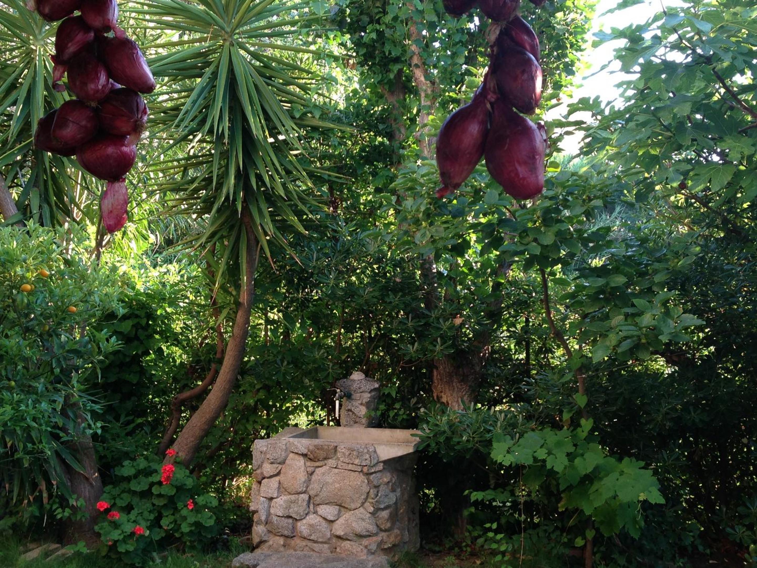 Welcoming house in Vibo Valentia with shared pool view 4