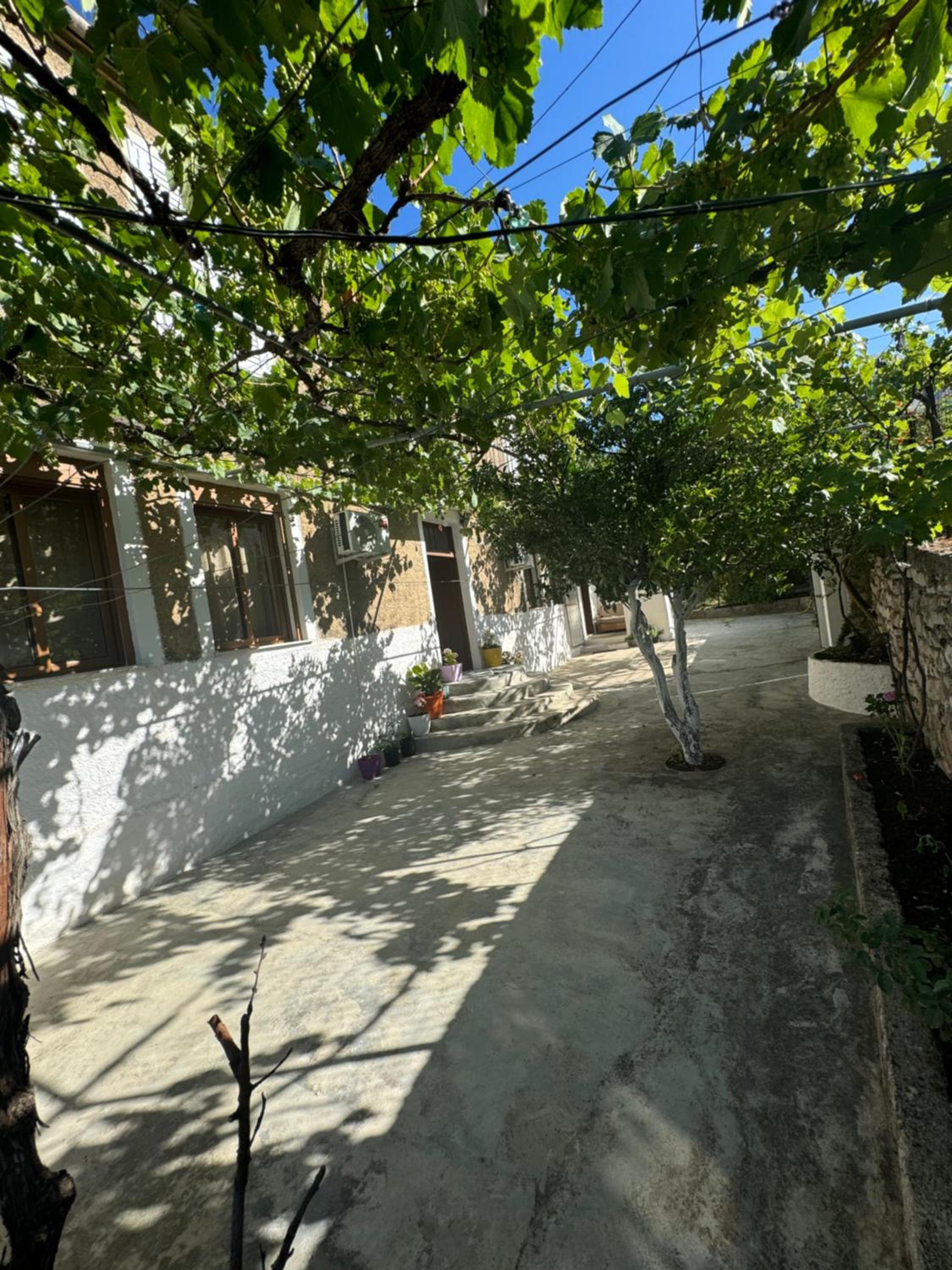 Alesio House