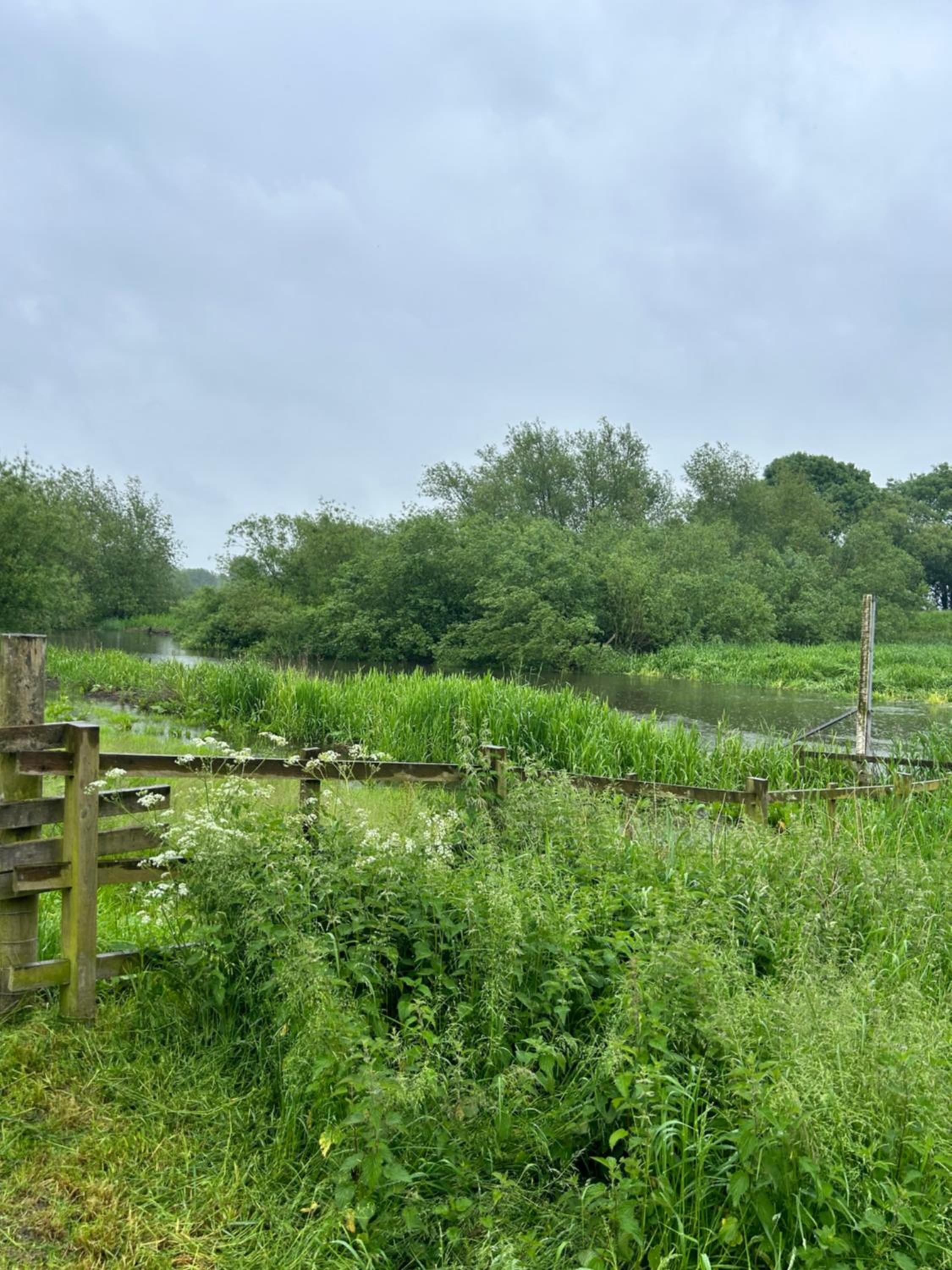 The Angel Inn Pub-Dine & Stay Misson