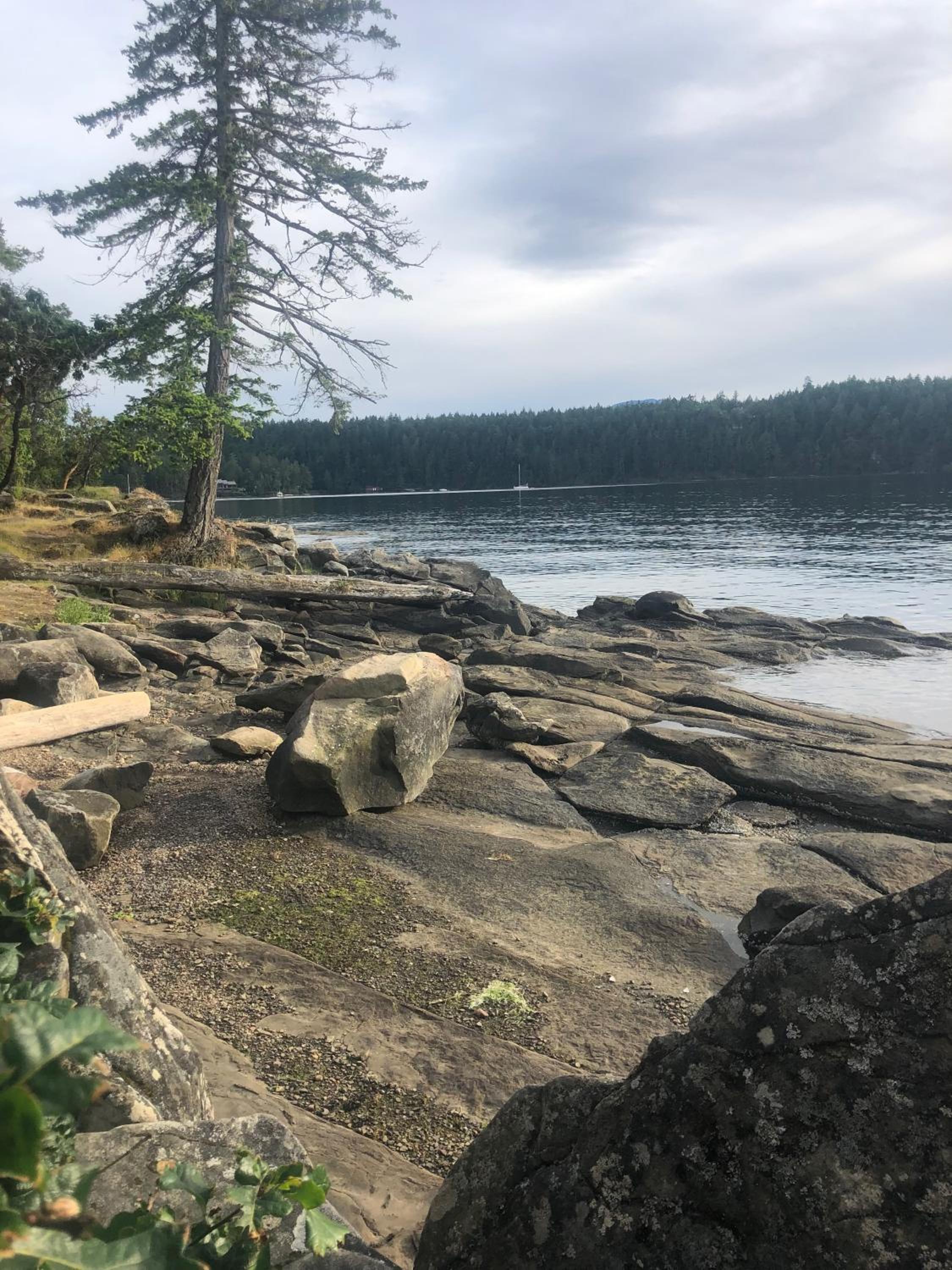 Thetis Island Get Away Cottage
