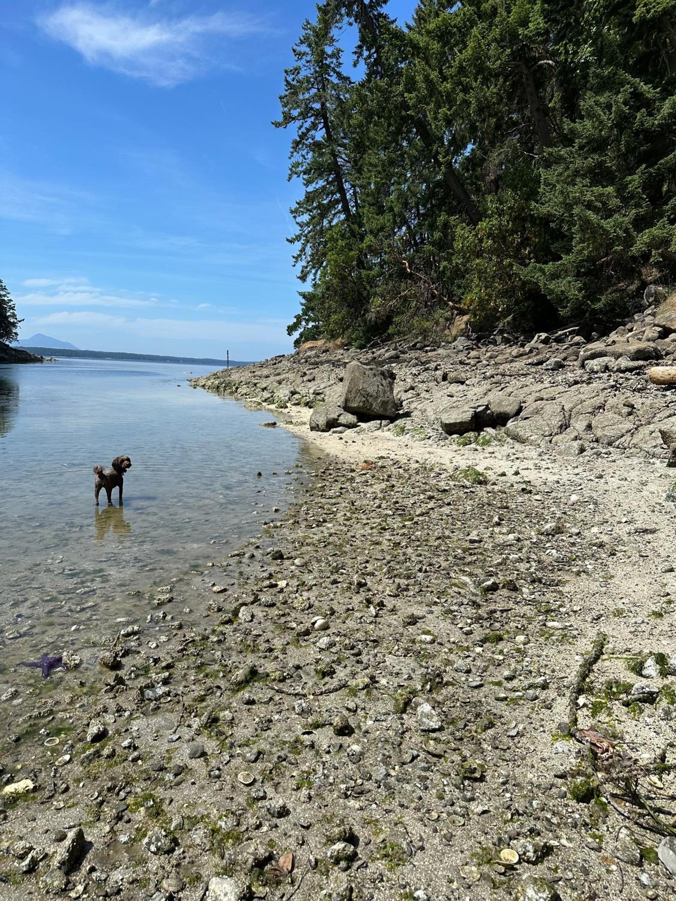 Thetis Island Get Away Cottage