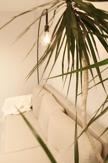 Bouvier Apartment