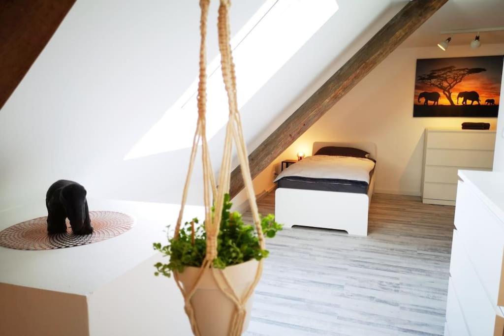 Worker Place Bedburg Hau