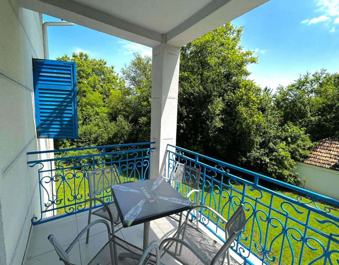 Stara Vodenica Sokobanja view 4