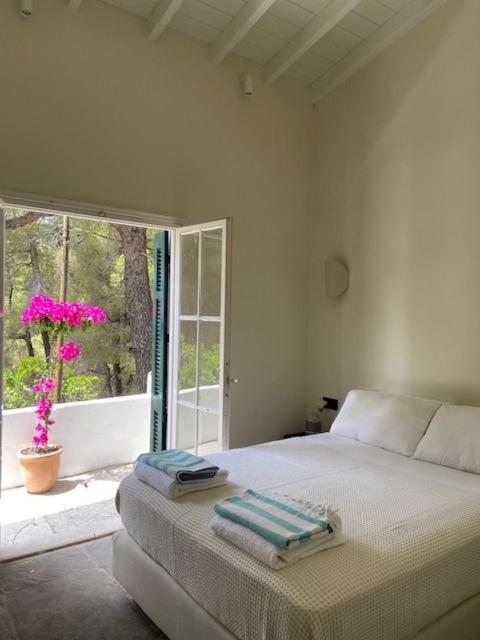 Villa Rhodos Skiathos