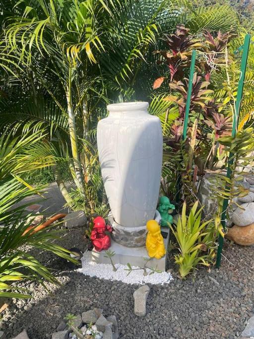 Bungalow Cactus