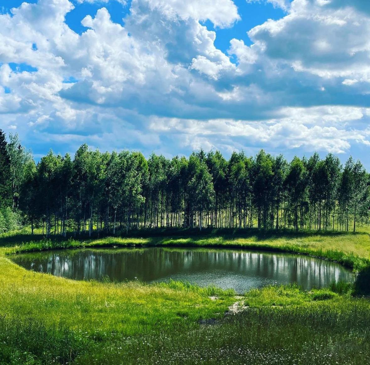 Nature 1 view 3