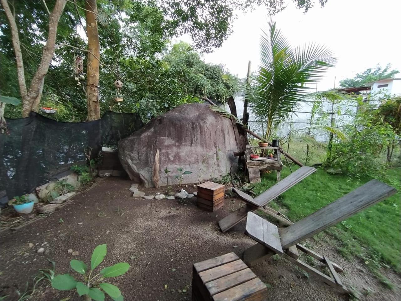 Eden Garden