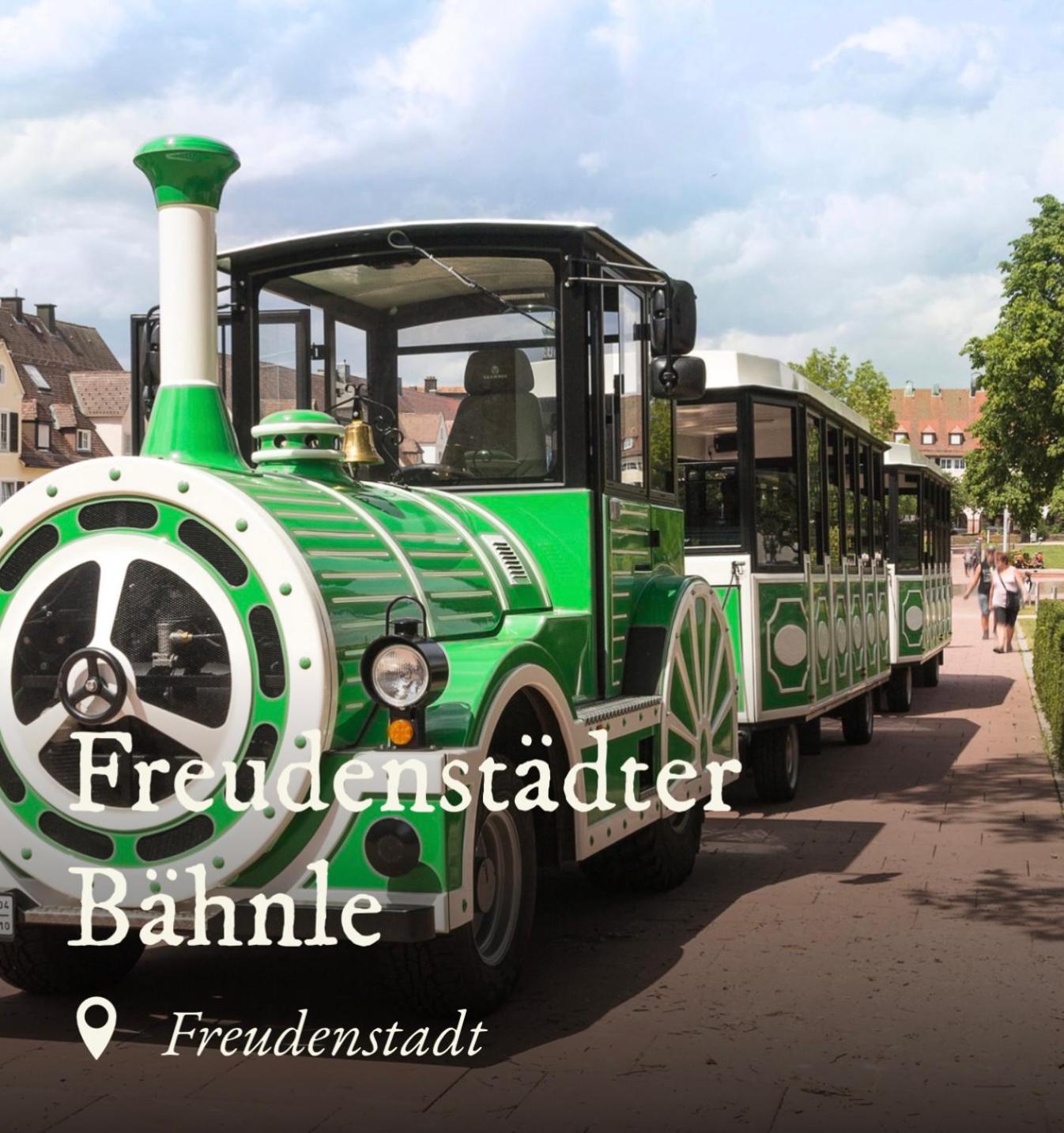 Ferienwohnung Schwarzwald Tannenzäpfle