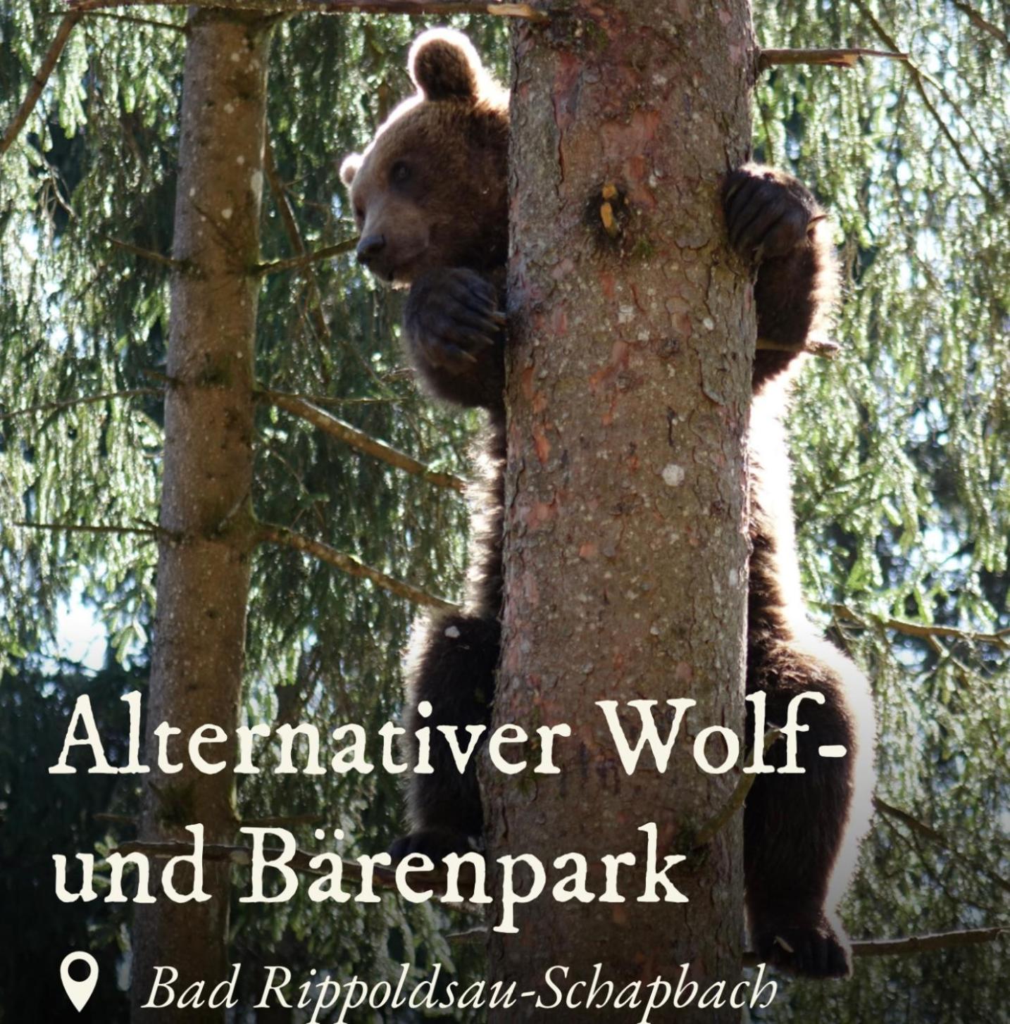 Ferienwohnung Schwarzwald Tannenzäpfle