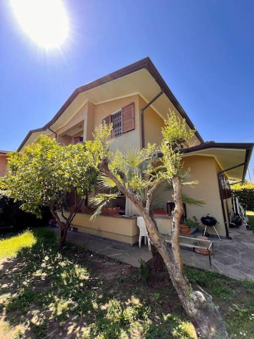Villetta in Versilia