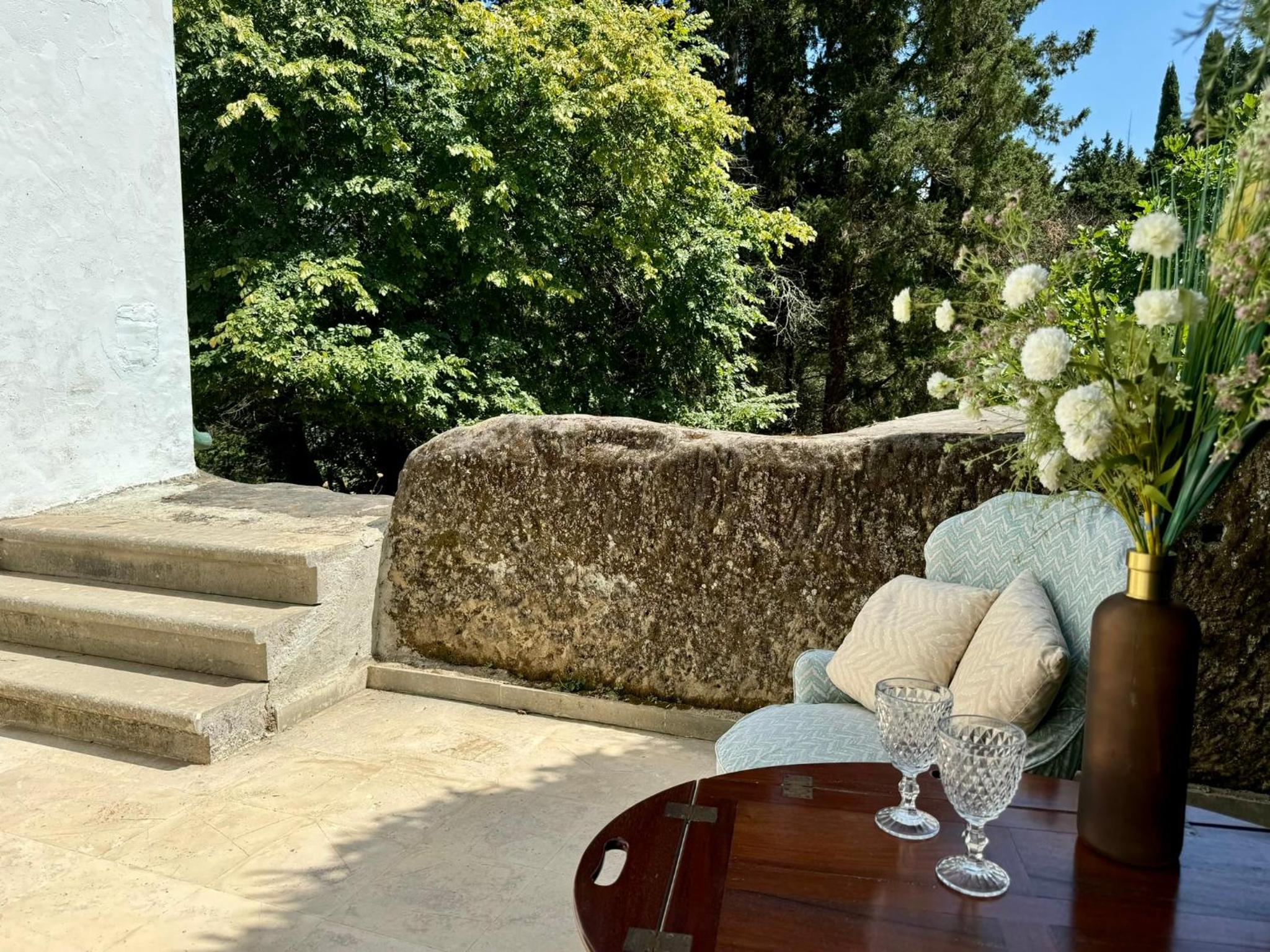 Charming Villa for nature lovers in Theotoky Estate Vineyard and olive mill view 4