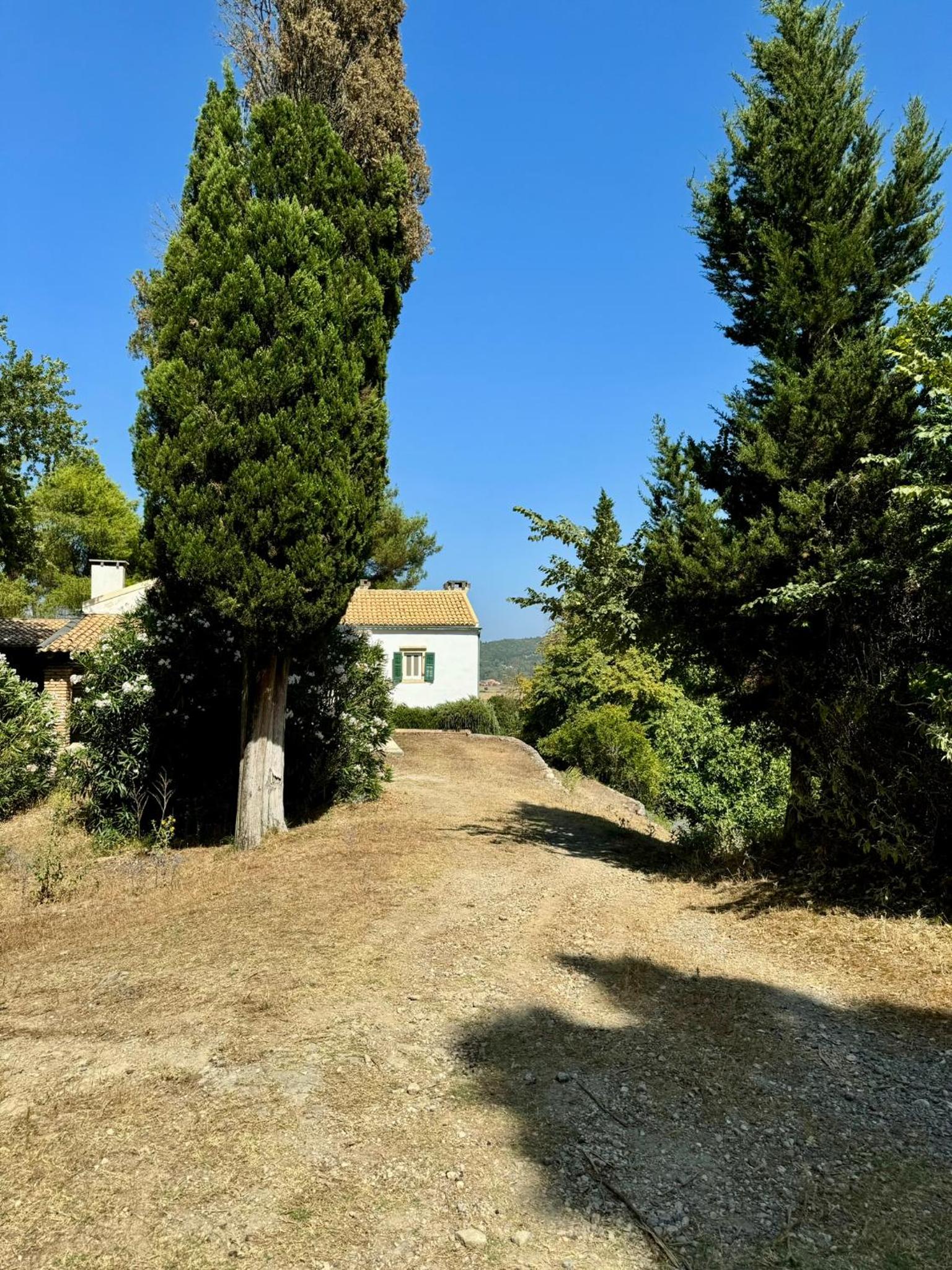 Charming Villa for nature lovers in Theotoky Estate Vineyard and olive mill view 3