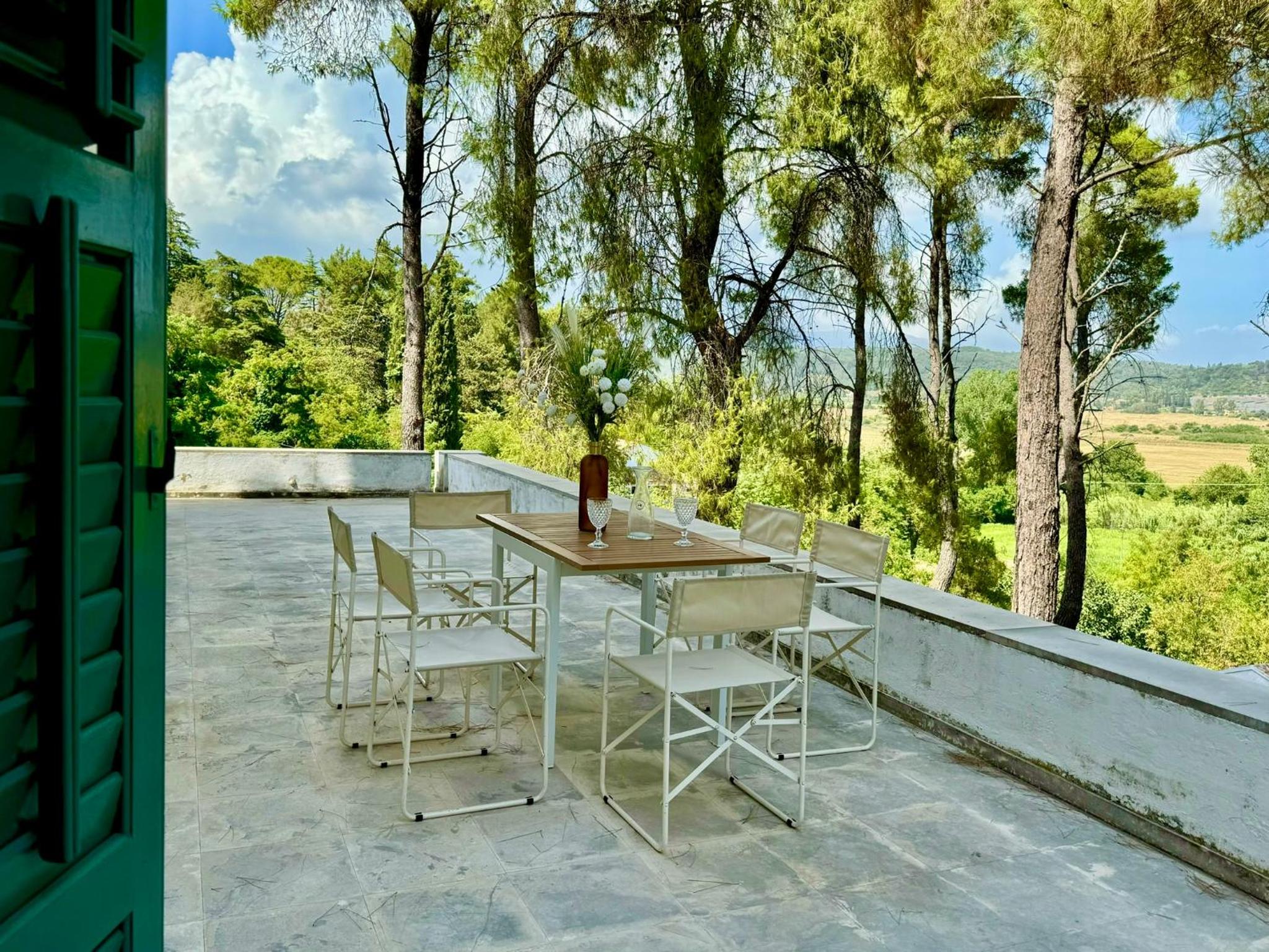 Charming Villa for nature lovers in Theotoky Estate Vineyard and olive mill view 2