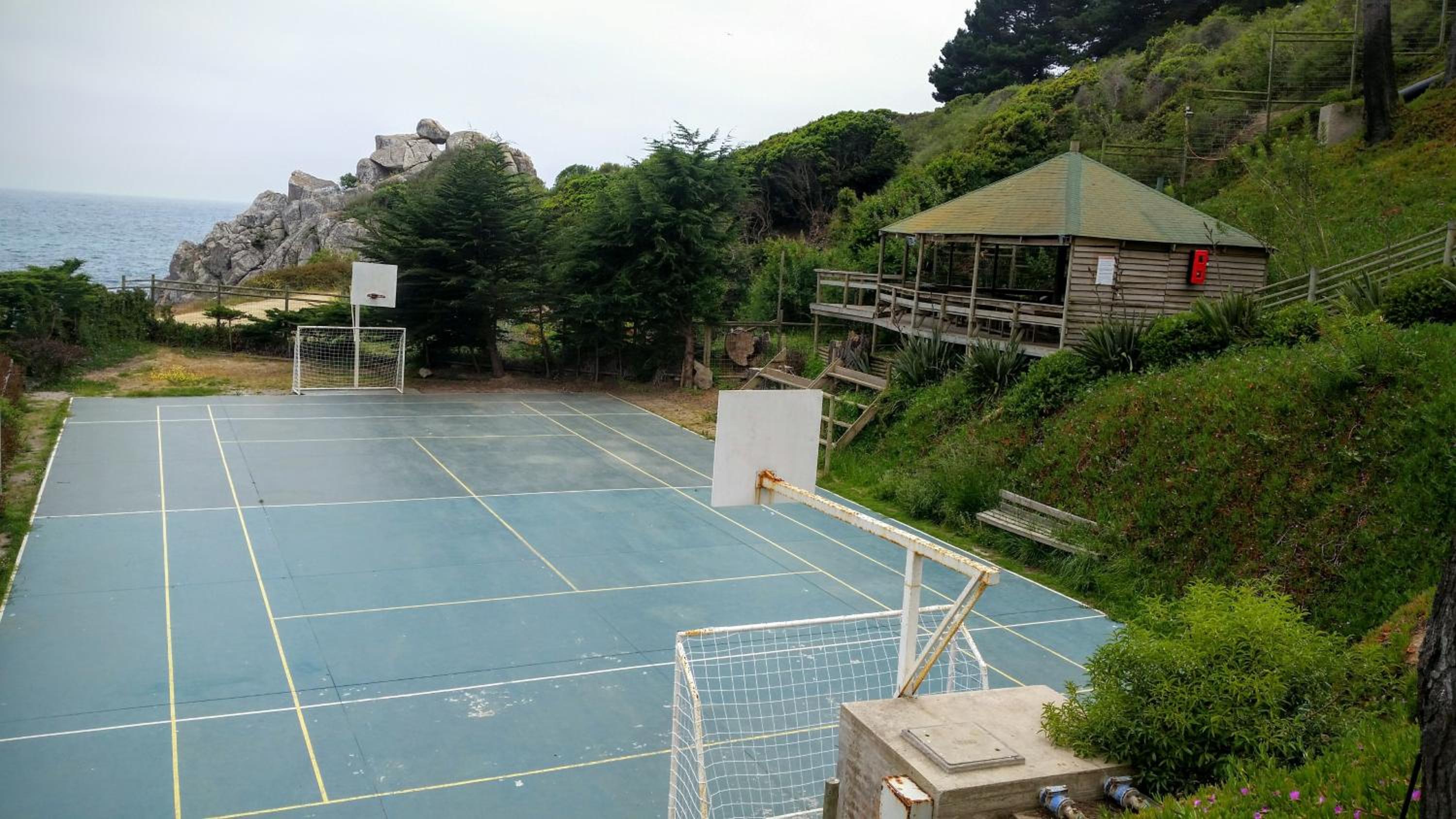 Photo 46